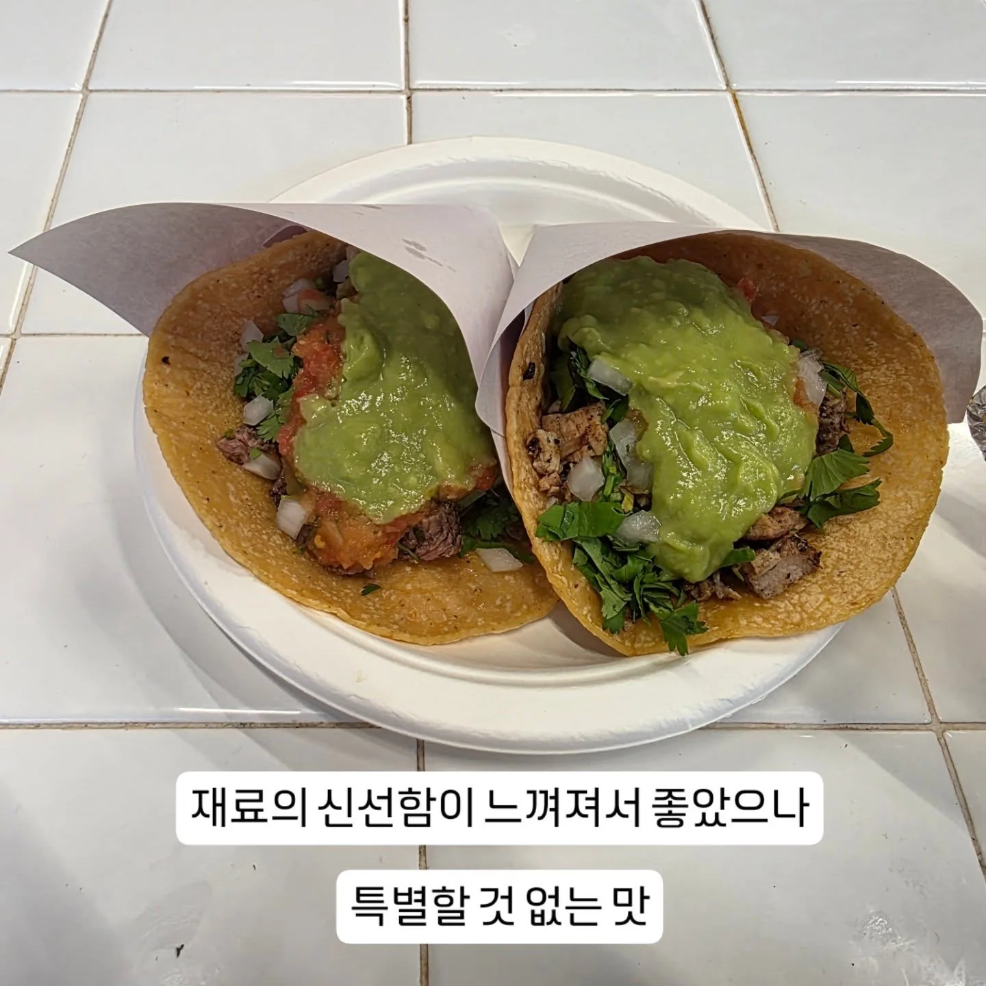 살사와 과카몰리를 올린 타코 두 개