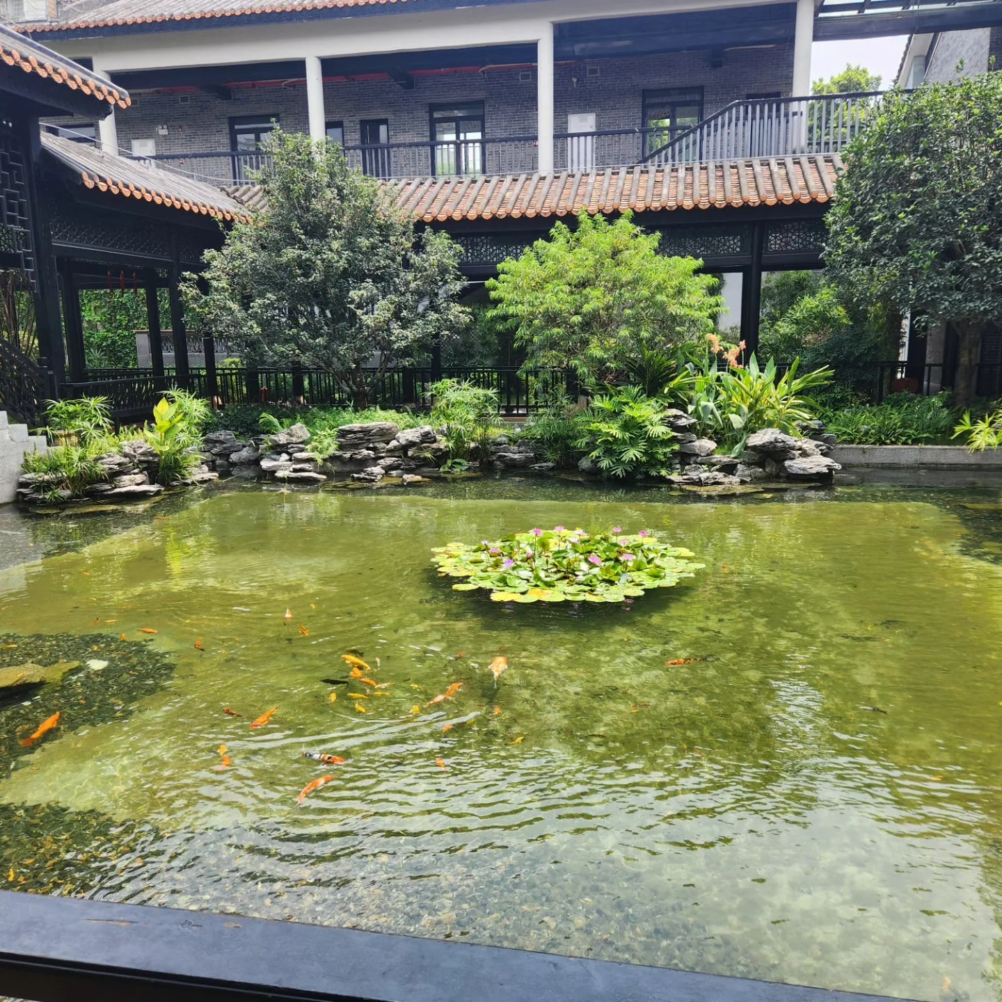 A garden and pond at Panxi Restaurant