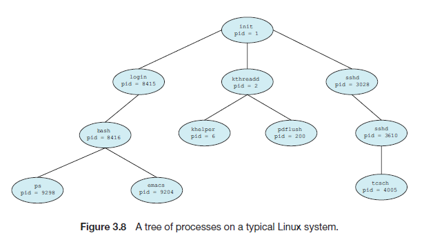 Tree structure of processes